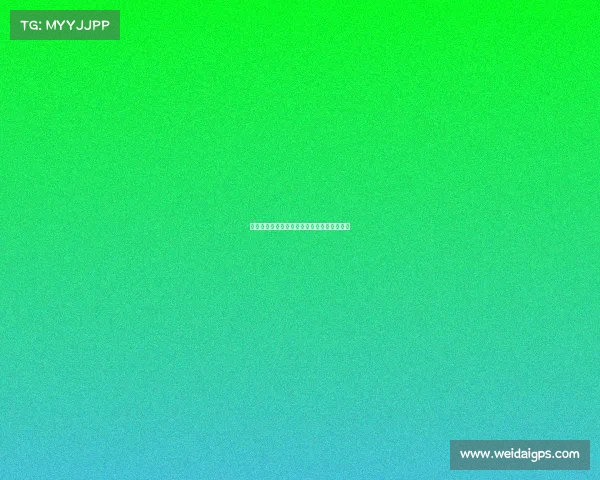 专业赛事组织服务团队为您打造完美赛事体验