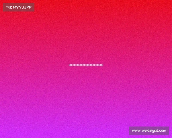 中国女排勇夺奥运桂冠展现顽强拼搏精神铸就辉煌篇章