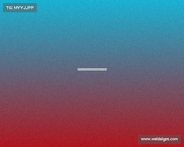 开展各类体育赛事—体育赛事活动执行方案